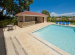 32359-496_optionalpalapa