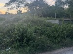 147080-img_4213