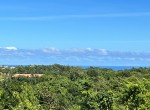136420-img_5332