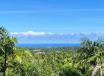 136420-img_5357