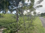 137077-img_6119