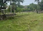 155218-el_choco_land_1