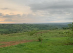 156910-img_3752
