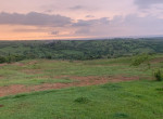 156910-img_3753